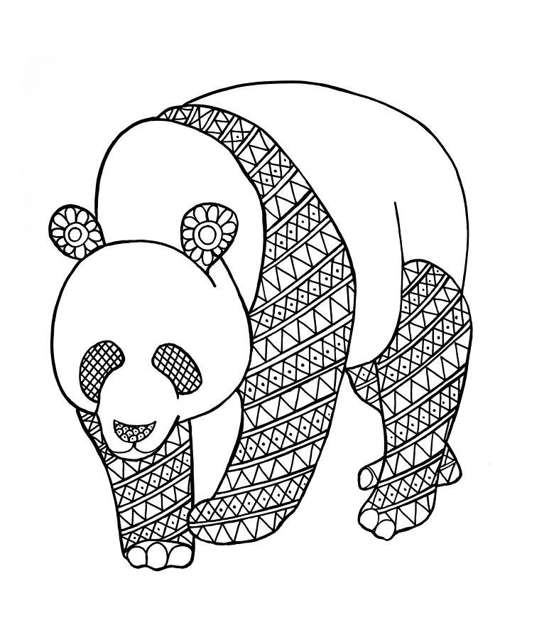 Black And White Drawing - Animal Panda  by MGL Meiklejohn Graphics Licensing