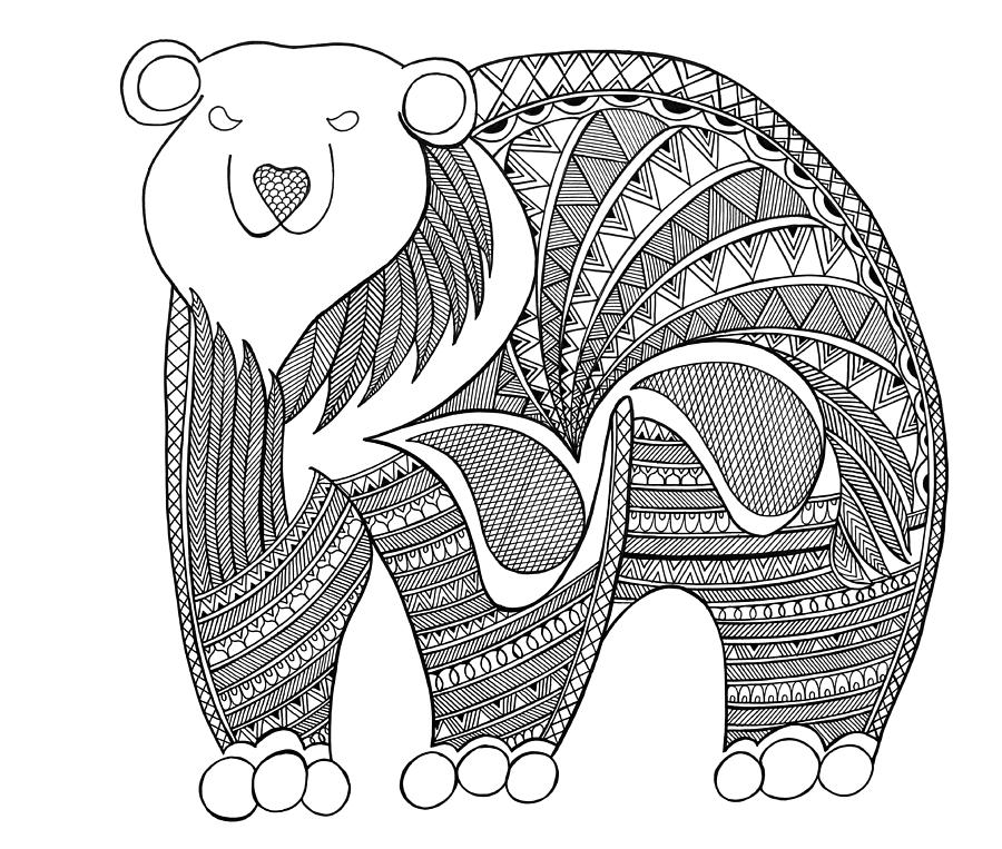 Black And White Drawing - Animal Polar Bear by MGL Meiklejohn Graphics Licensing