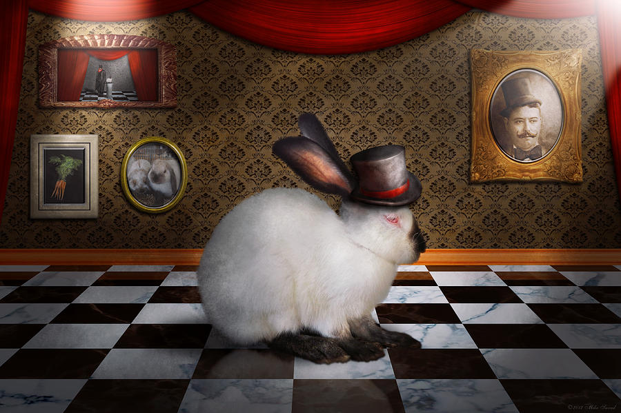 Magic Photograph - Animal - The Rabbit by Mike Savad