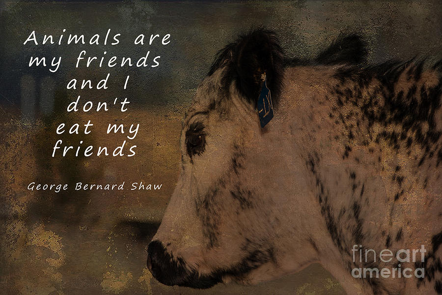 Animals Are My Friends Photograph by Janice Pariza