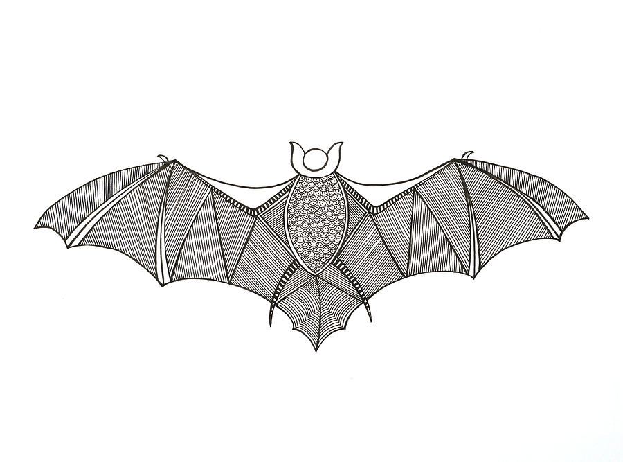 Black And White Drawing - Animals Bat by MGL Meiklejohn Graphics Licensing