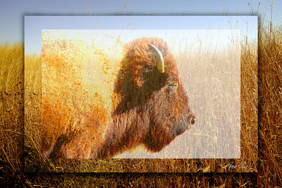 animals - bison - Spirit of The Tall Grass  Digital Art by Ann Powell
