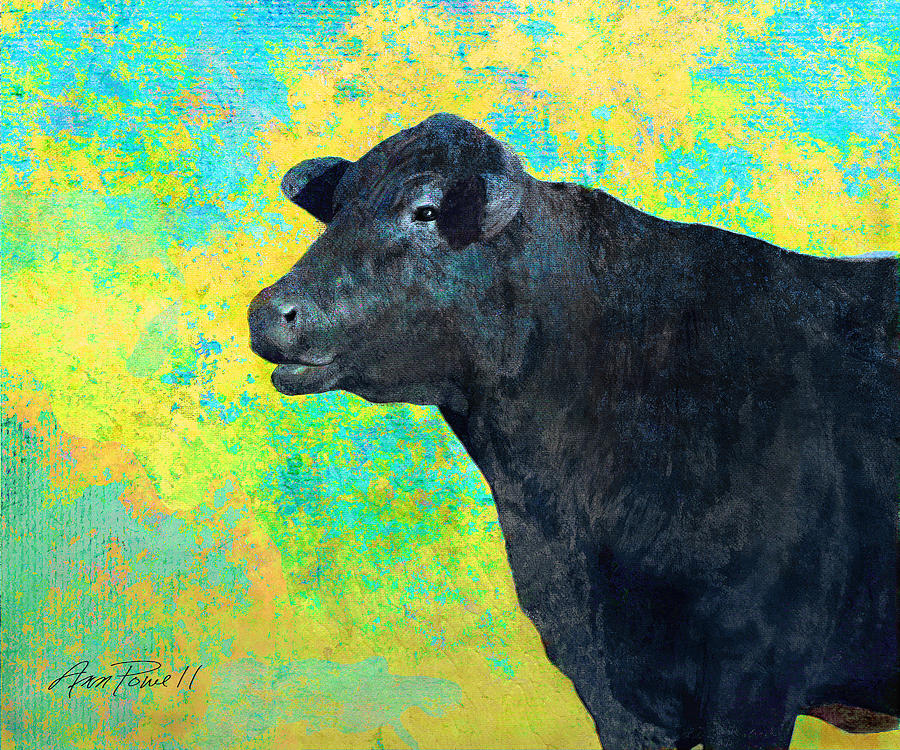 Animals Cow Black Angus  Digital Art by Ann Powell