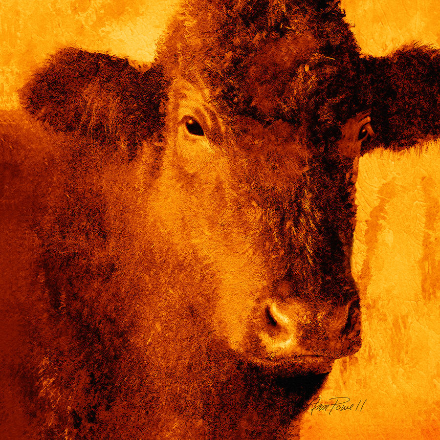 animals- cows- Brown Cow Digital Art by Ann Powell