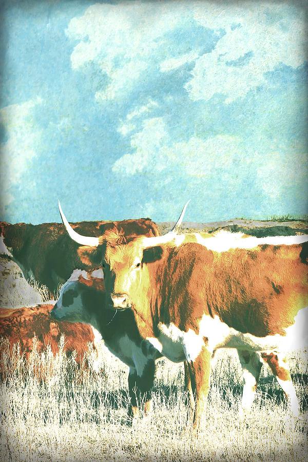 Animals Cows Longhorn  Photograph by Ann Powell