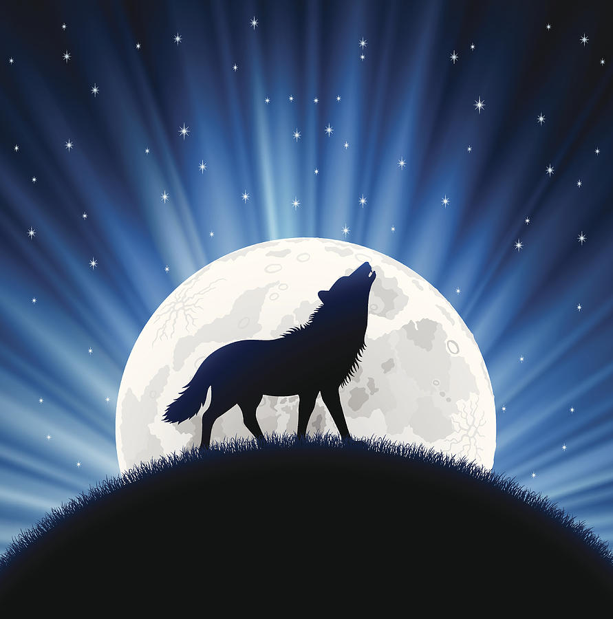 Animated Wolf Howling With The Moon Behind Him And Stars By Alonzodesign