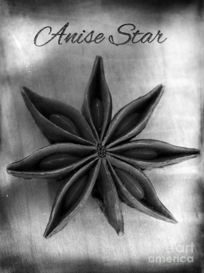 Black And White Photograph - Anise Star Single Text Distressed Black and Wite by Iris Richardson