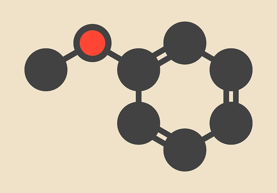 Anisole Chemical Molecule By Science Photo Library 5037