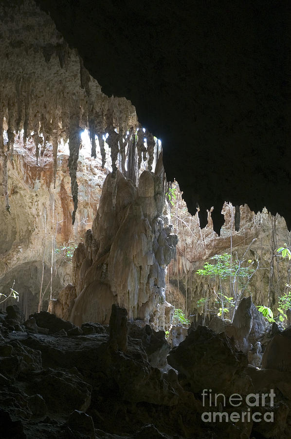 Anjohibe Cave, Madagascar Photograph by Greg Dimijian