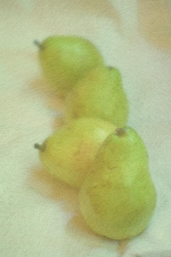 Anjou Pears Photograph by Suzanne Powers