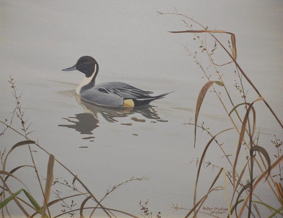 Duck Painting - Ankeny Pintail by Peter Mathios