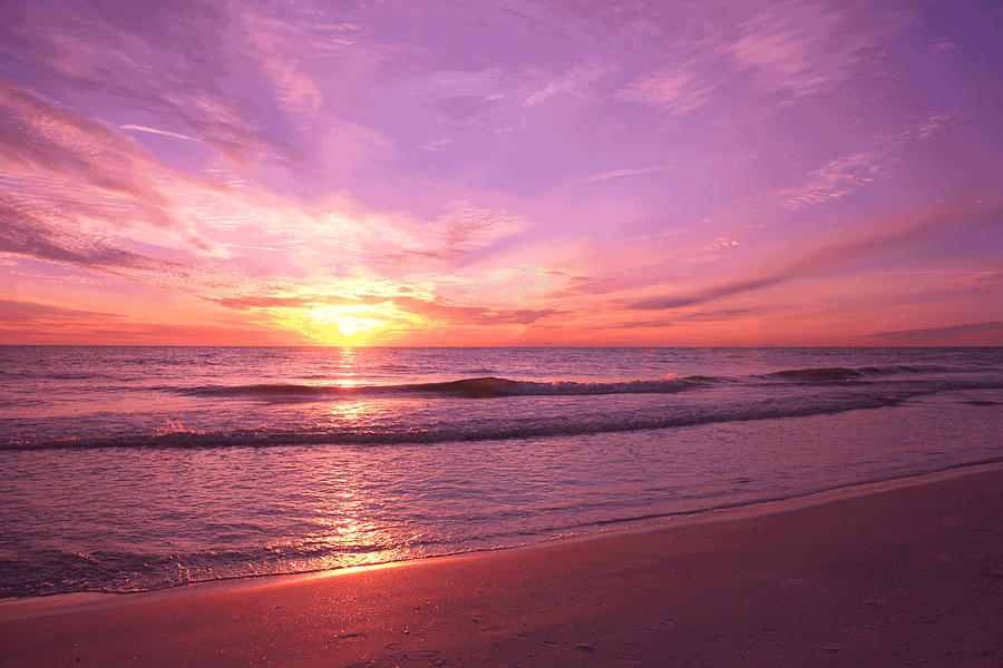 anna maria island sunset boat tours