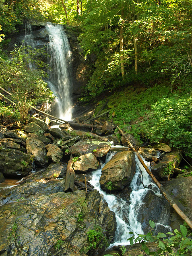 Anna Ruby Falls Photograph by Gale Field - Pixels