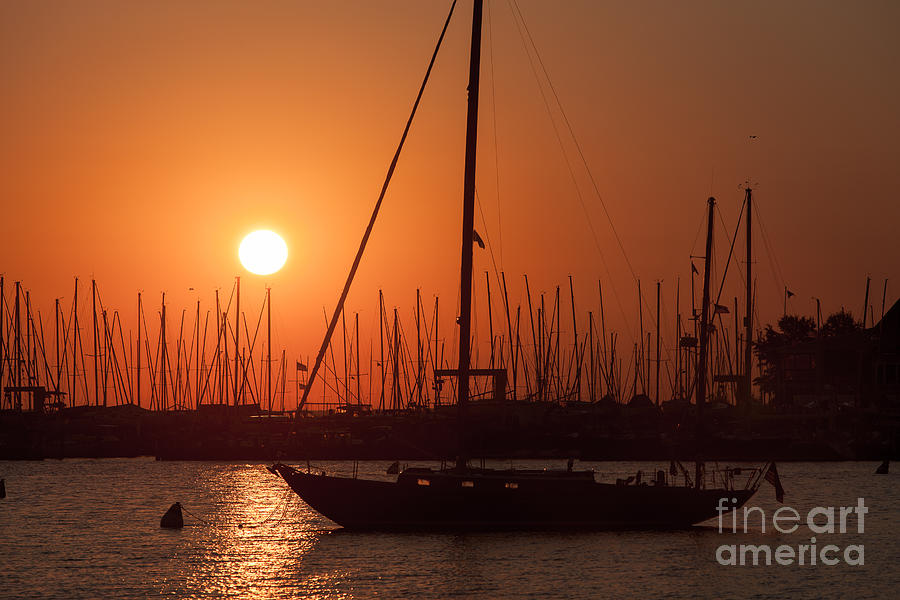 Annapolis Harbor Sunrise I Photograph by Clarence Holmes