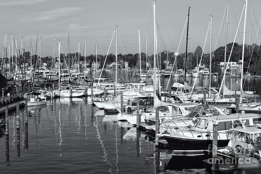Annapolis Yacht Club II Photograph by Clarence Holmes