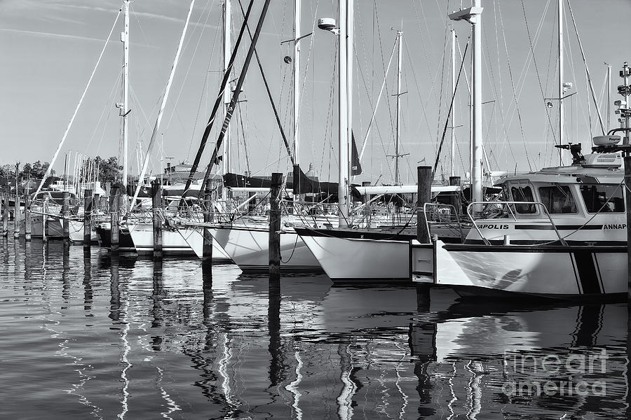 Annapolis Yacht Club IV Photograph by Clarence Holmes