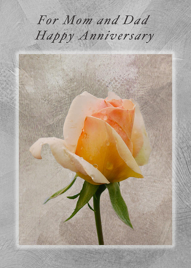 Annivesary Card Photograph by Michael Peychich
