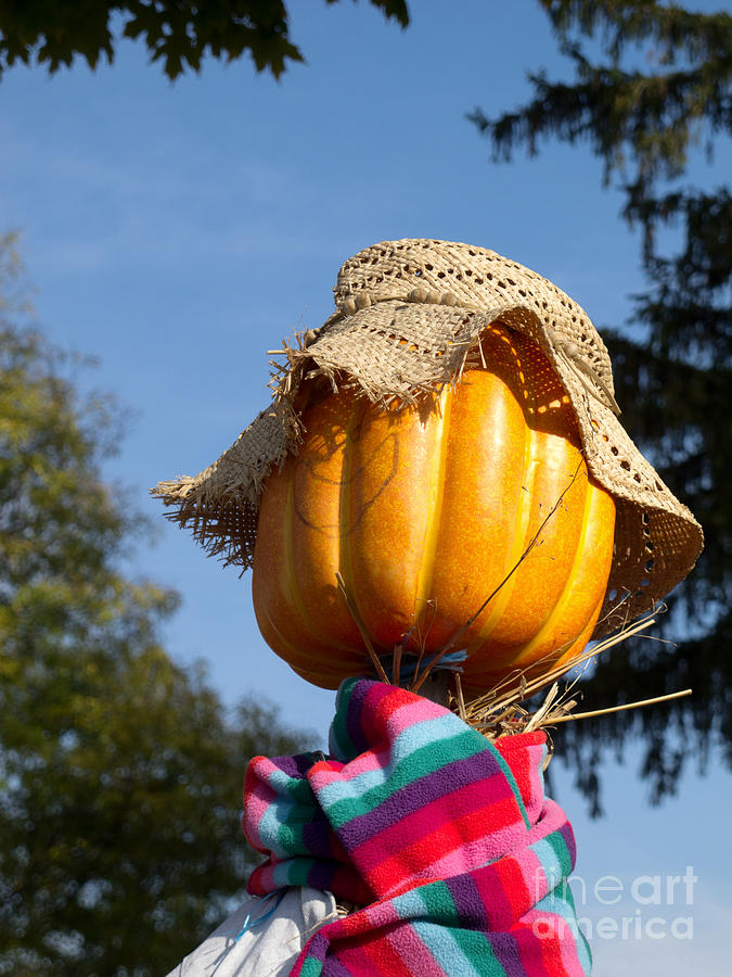 Anonymous Scarecrow Photograph
