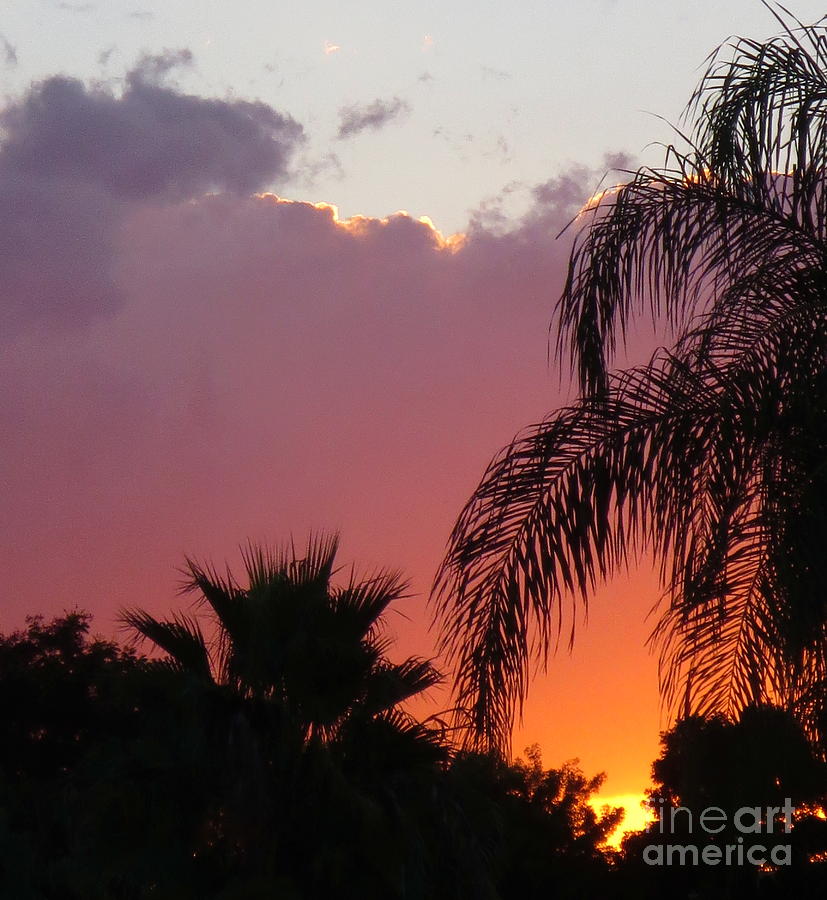 Another Beautiful Florida Sunset No 3 Photograph by Robert Birkenes
