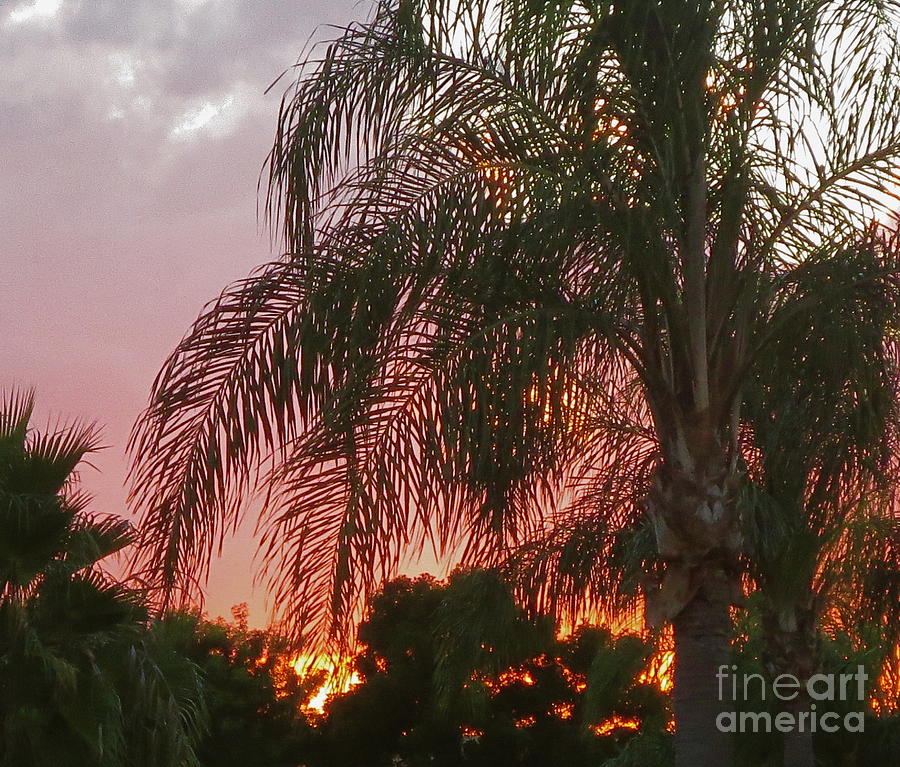 Another Beautiful Florida Sunset No 4 Photograph by Robert Birkenes
