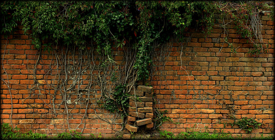 Elmwood Cemetery Photograph - Another Brick in the Wall by Shannon Louder