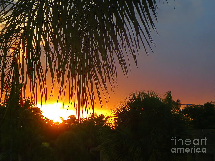 Another colorful Florida Sunset from my kitchen window. Photograph by Robert Birkenes