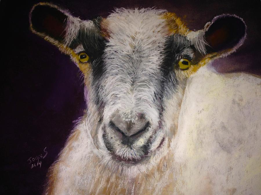 Another Goat Painting by Joyce Spencer