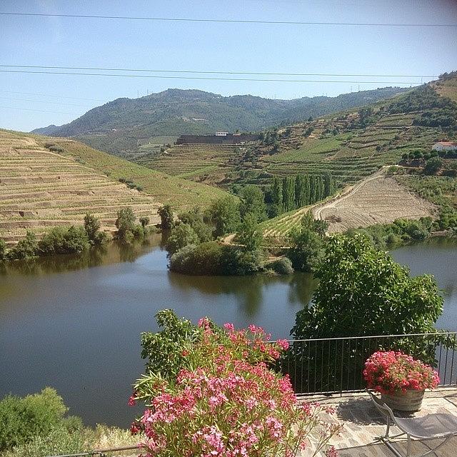 Wine Photograph - Another Great View In The #douro, This by Qin Xie
