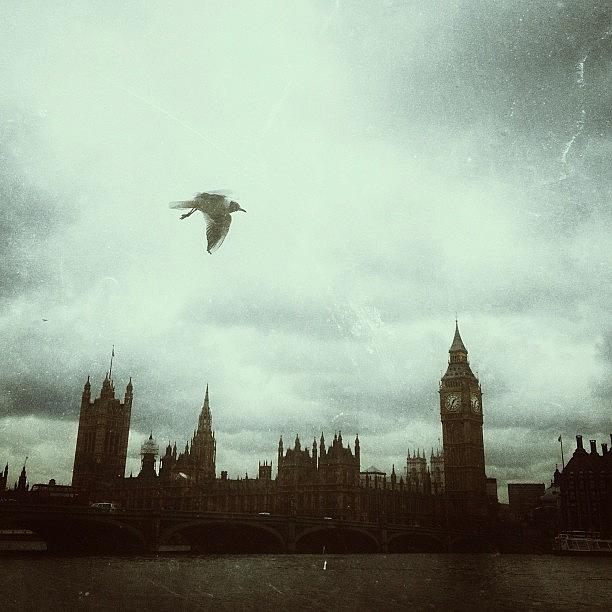 Another Grey Day In Westminster, March Photograph by Marc Gascoigne