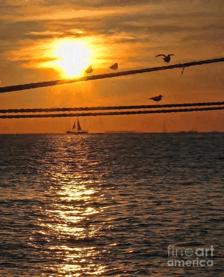 Another Key West Sunset Photograph by Peggy Hughes