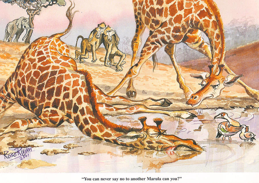 Rose Rigden Another Marula Painting by Rose Rigden - Fine Art America