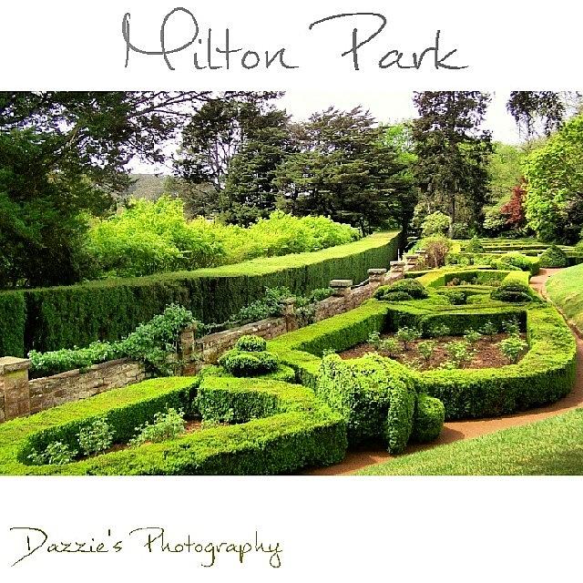 Nature Photograph - Another Milton Park Wonder  #garden by Darren P