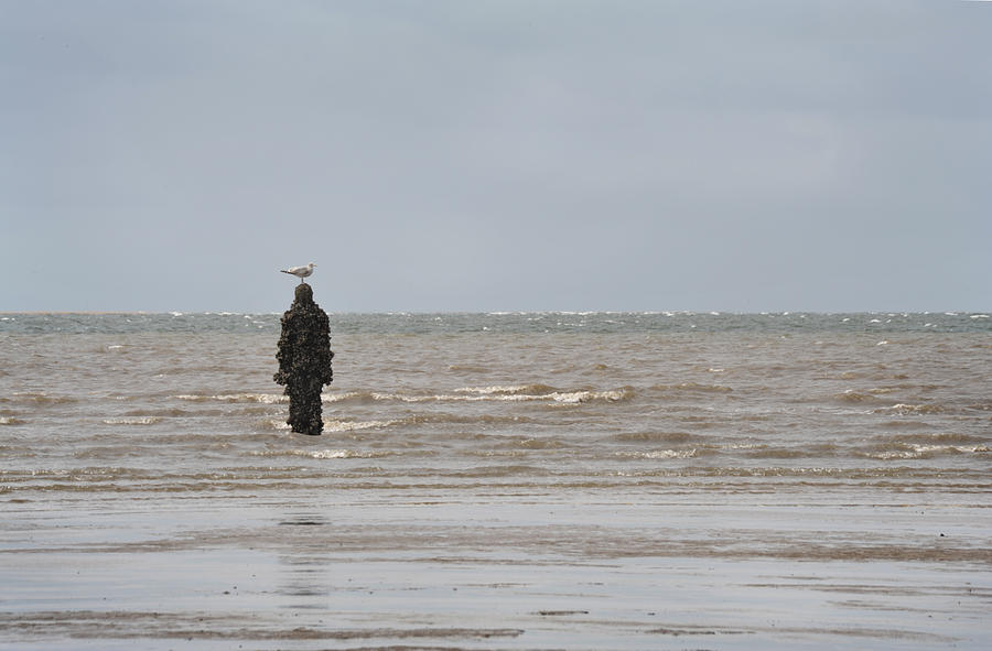 Another Place Gormley Crosby Photograph by Jerry Daniel