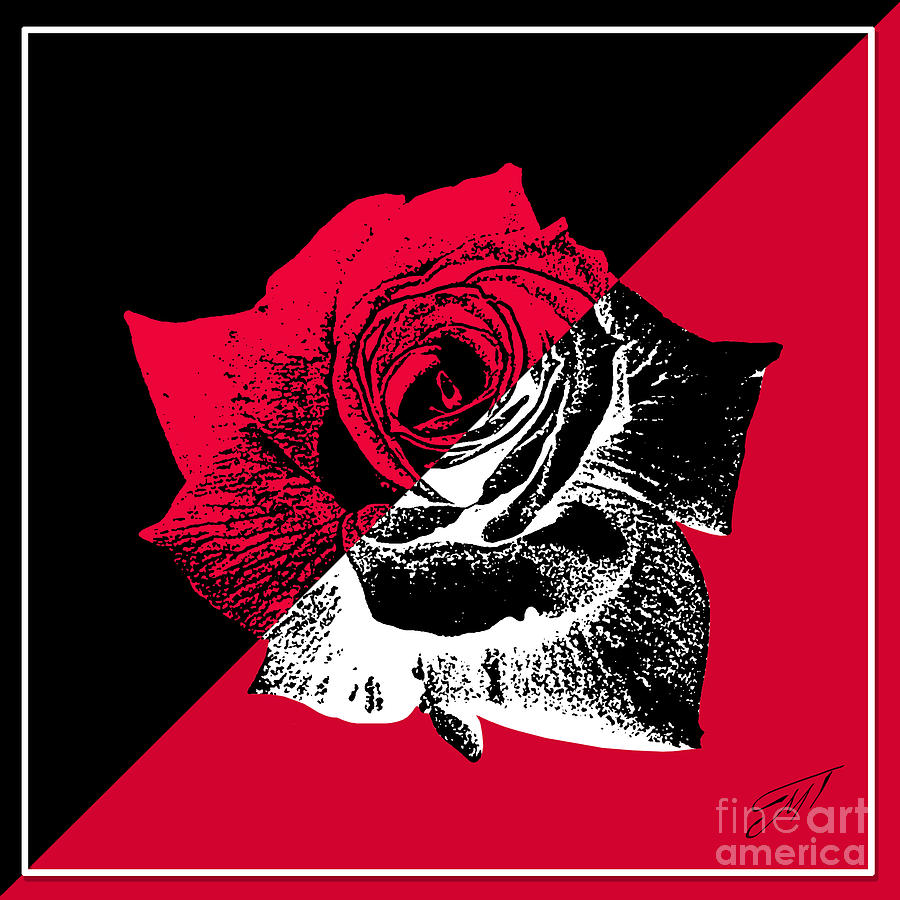 Another rose Photograph by Art by Magdalene