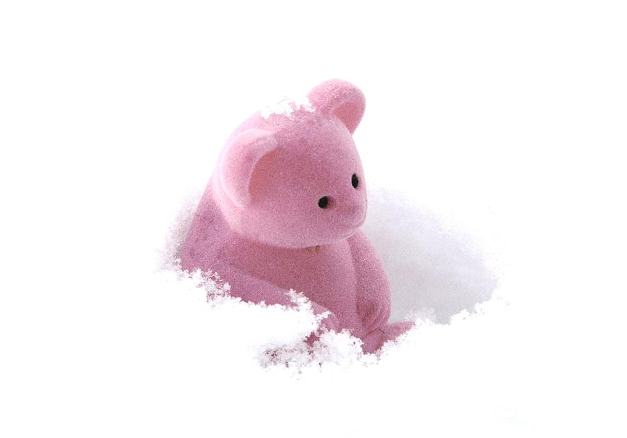 Pink Teddy Bears Photograph - Another Snow Day by Angela Davies