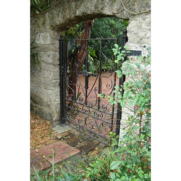 Snapchat Photograph - Another St Augustines Garden Gate by Pedro E Cruz