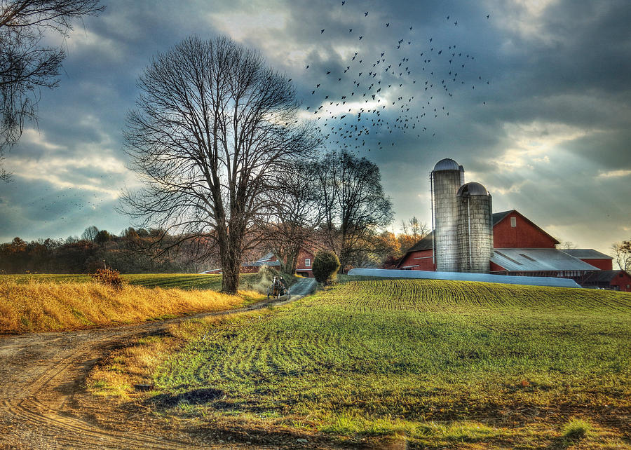 Farm Photograph - Another Sunday Morning by Lori Deiter