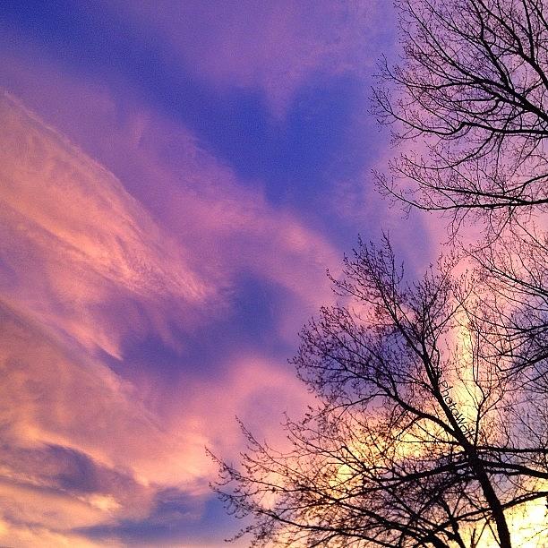 Nature Photograph - Another Sunset With The Trees In My by Wolf Stumpf