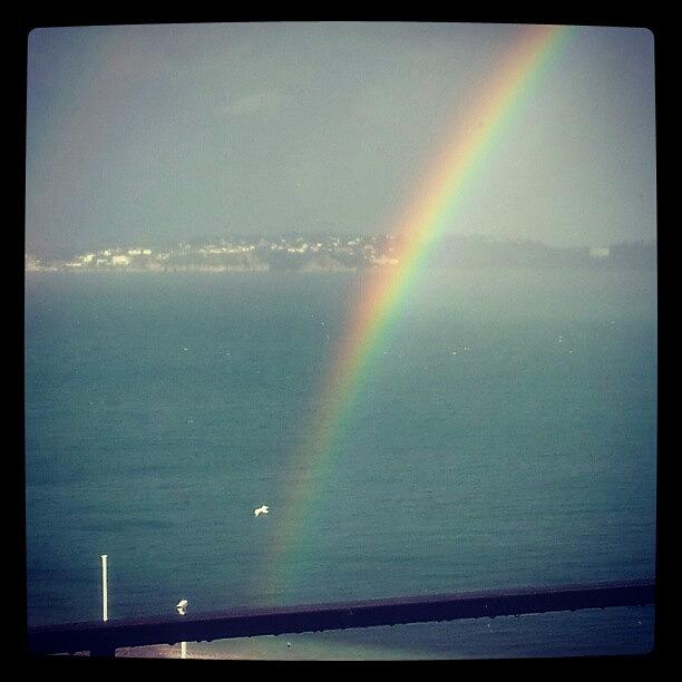 Another Torbay Rainbow Out The Window Photograph by Tom Causer