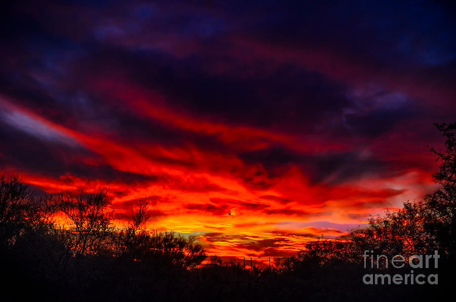 Tucson Photograph - Another Tucson Sunset by Mark Myhaver