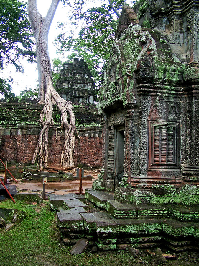Another View of Ta Prohm in Angkor Wat Archeological Park-Cambodia  Photograph by Ruth Hager