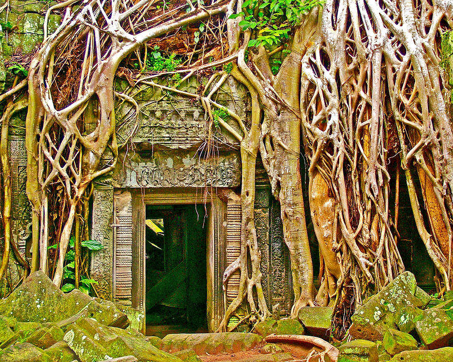 Another View of Ta Prohm Kapok Tree Roots in Angkor Wat Archeological Park-Cambodia  Photograph by Ruth Hager