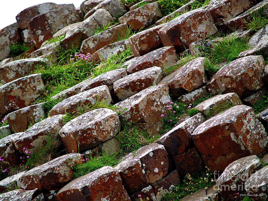 Another View of the Giants Causeway Photograph by Patricia Griffin Brett