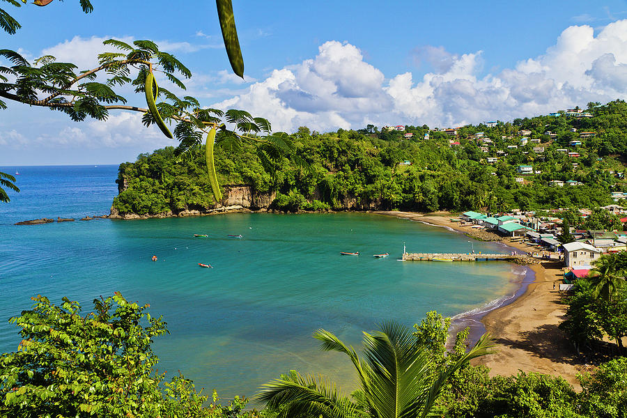 Anse La Raye, Saint Lucia Photograph by Oriredmouse
