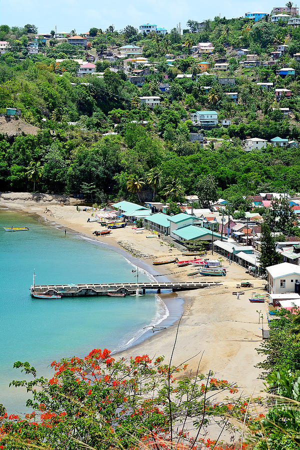 Anse La Raye - St. Lucia Photograph by Brendan Reals