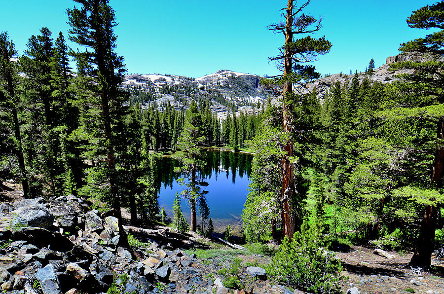 Ansel Adams Wilderness, Ca, USA, Clark Photograph by Mark Williford ...