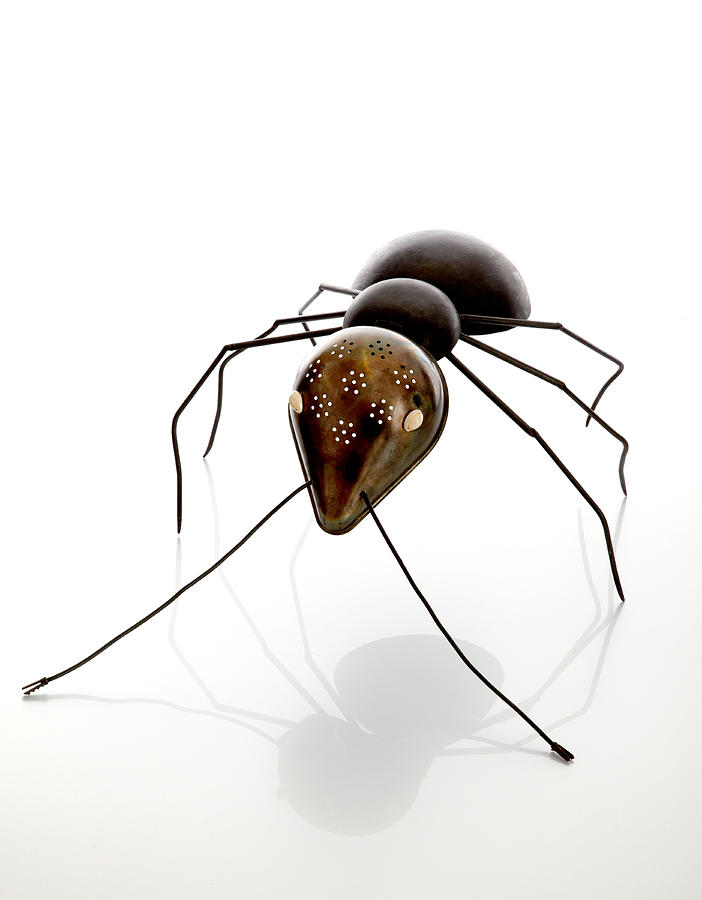 Ant Painting by Lawrie Simonson