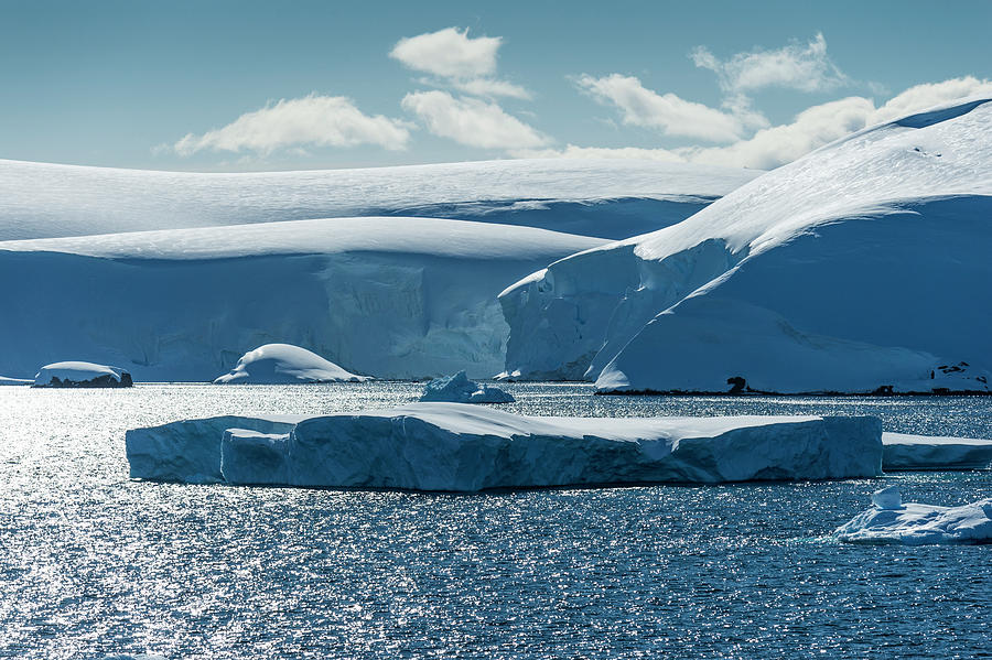 Antarctic Ice  Antarctica Photograph by Deb Garside