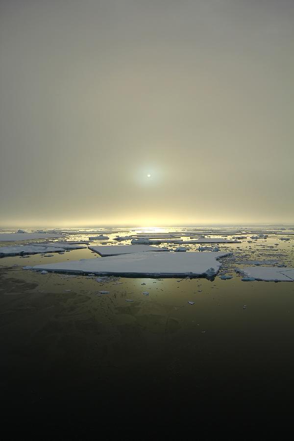 Sunset Photograph - Antarctic Misty Sunset by FireFlux Studios