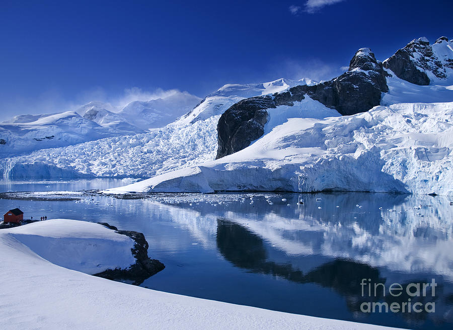 Antarctic Paradise Photograph by David Lichtneker